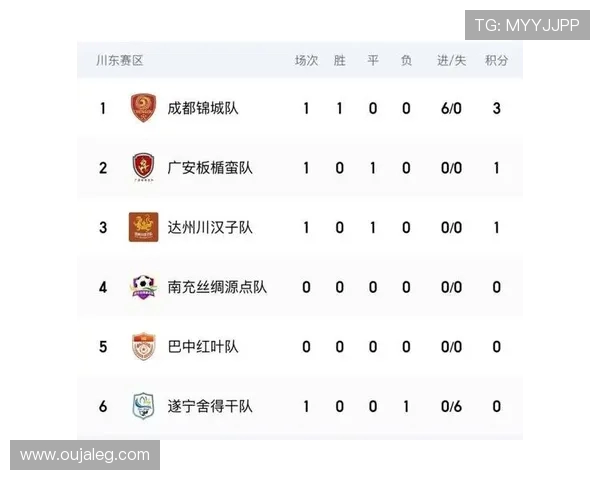 上海足球队以65分稳居冠军赛积分榜首位争夺荣誉