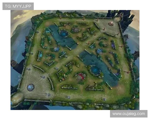 王者荣耀战术解析：深入探讨JDG战队的区域防守策略与执行