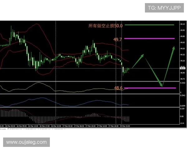 日本对阵波兰精彩对决CCTV5直播全程回顾与分析