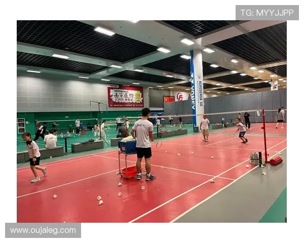 对话张丽:回顾羽毛球生涯中的挑战与成就