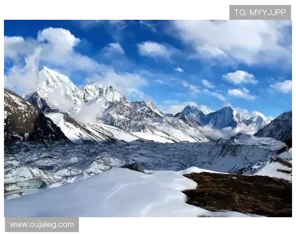 成都极限运动队的控制得失与挑战分析及未来发展方向探讨