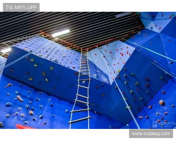 深圳攀岩队战术分析：防反打法的技巧与应用探讨