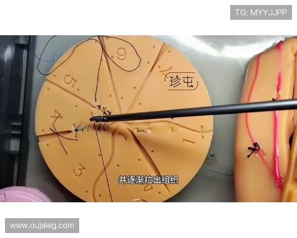 上海篮球队中路突破战术解析与实战应用深度剖析