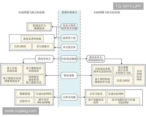 南京飞盘队进攻革新之路探索与实践的深度剖析与展望