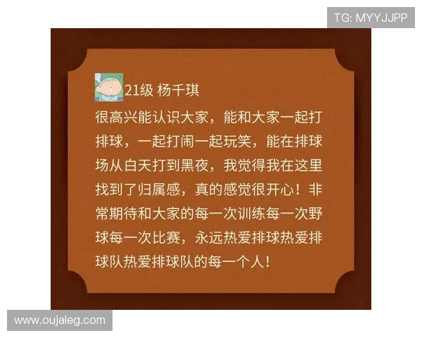 杭州排球队实力解析：聚焦他们的训练与比赛表现